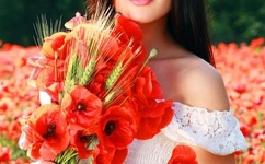 すん止め亀头ふたいと的含义